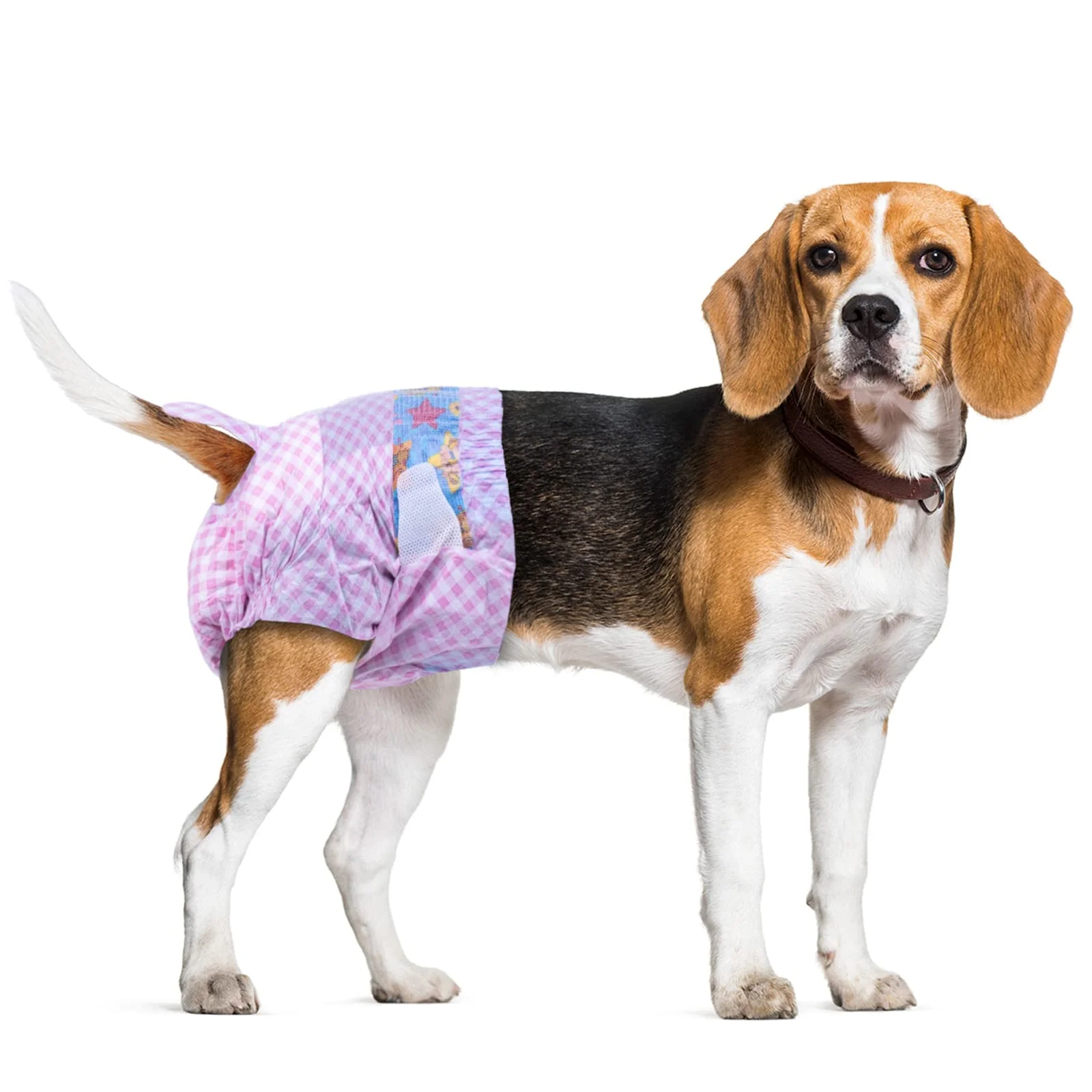 Original Design Flying Paws Disposable Female Dog Diapers with Adjustable Waist Wetness Indicator S-10 Practical