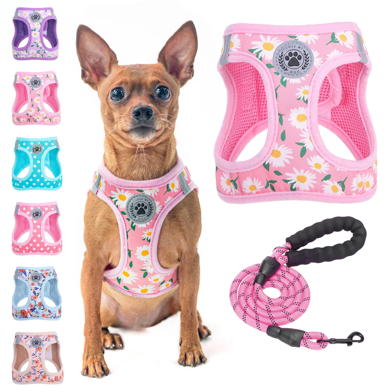 Exclusive BEAUTYZOO Step-In Floral Reflective Dog Harness 5ft Leash – No-Pull No-Choke XXS-XS-S Healthy