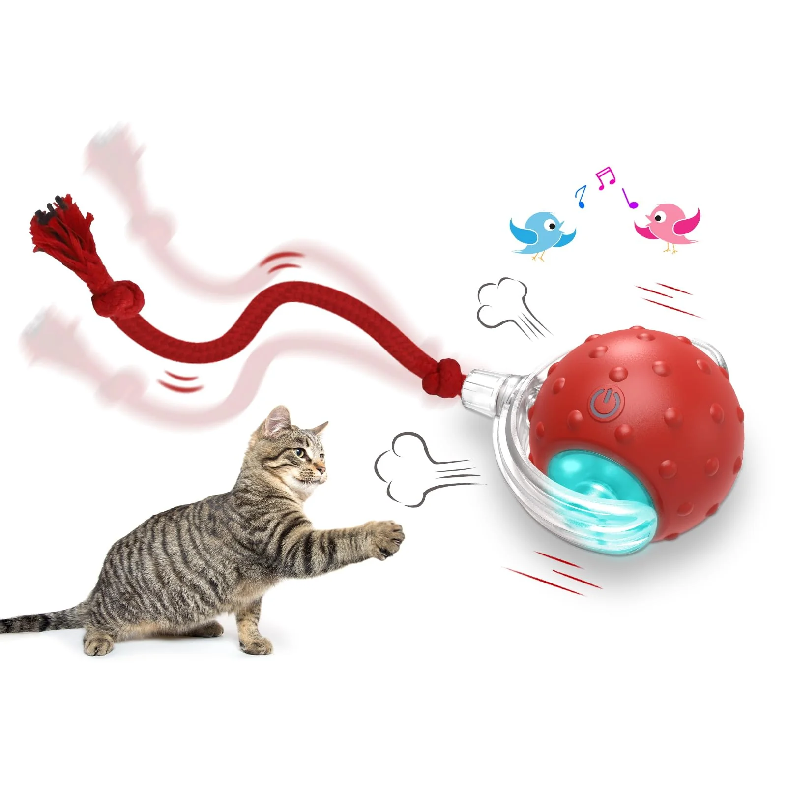 High-Grade Giociv Interactive Cat Toy Ball – Fast Rolling Chirping for Indoor Cats Optimized
