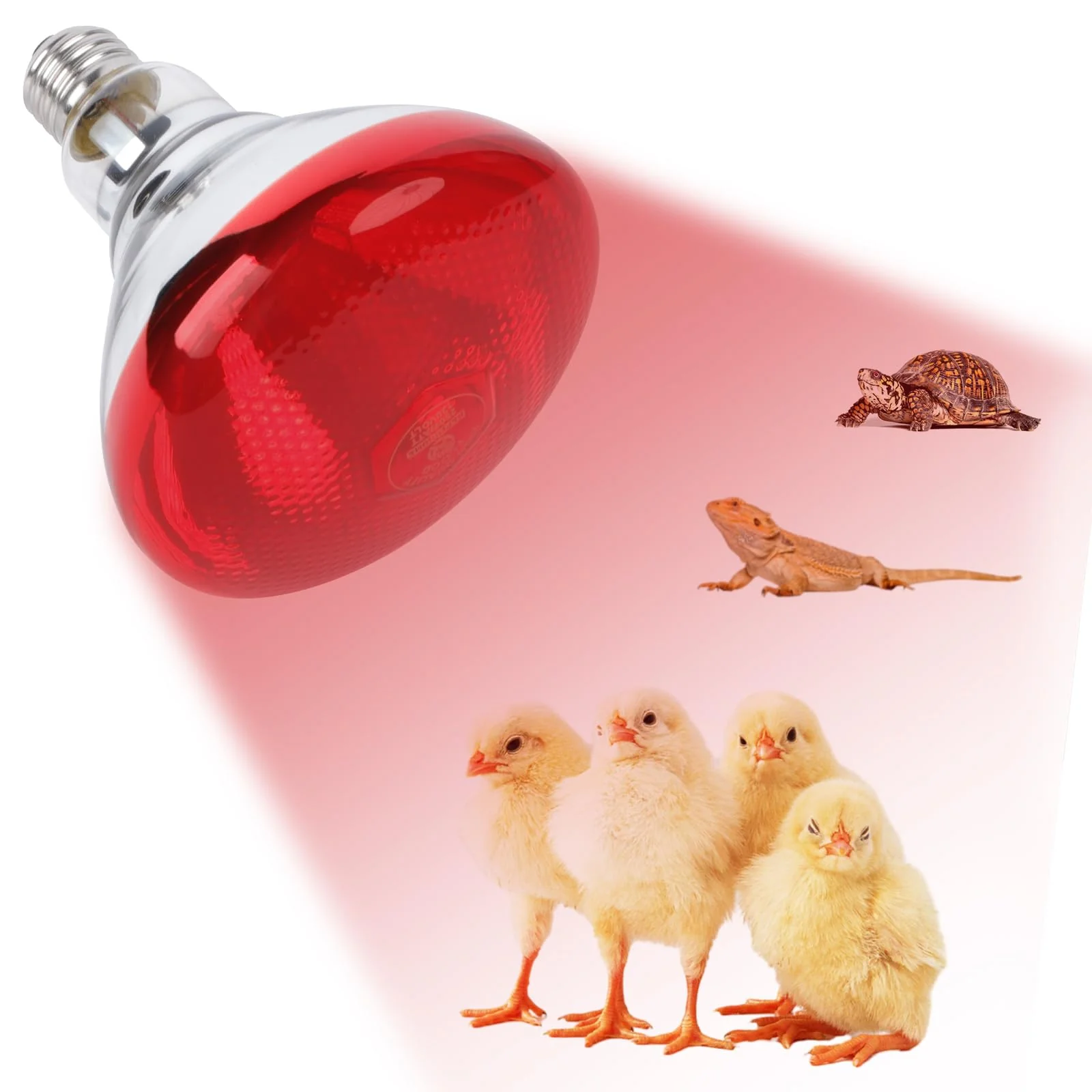 Contemporary REPTI HOME 250W Red Infrared Heat Lamp Bulb – Par38 Glass E26 Base for Chickens Pets Reptiles Secure