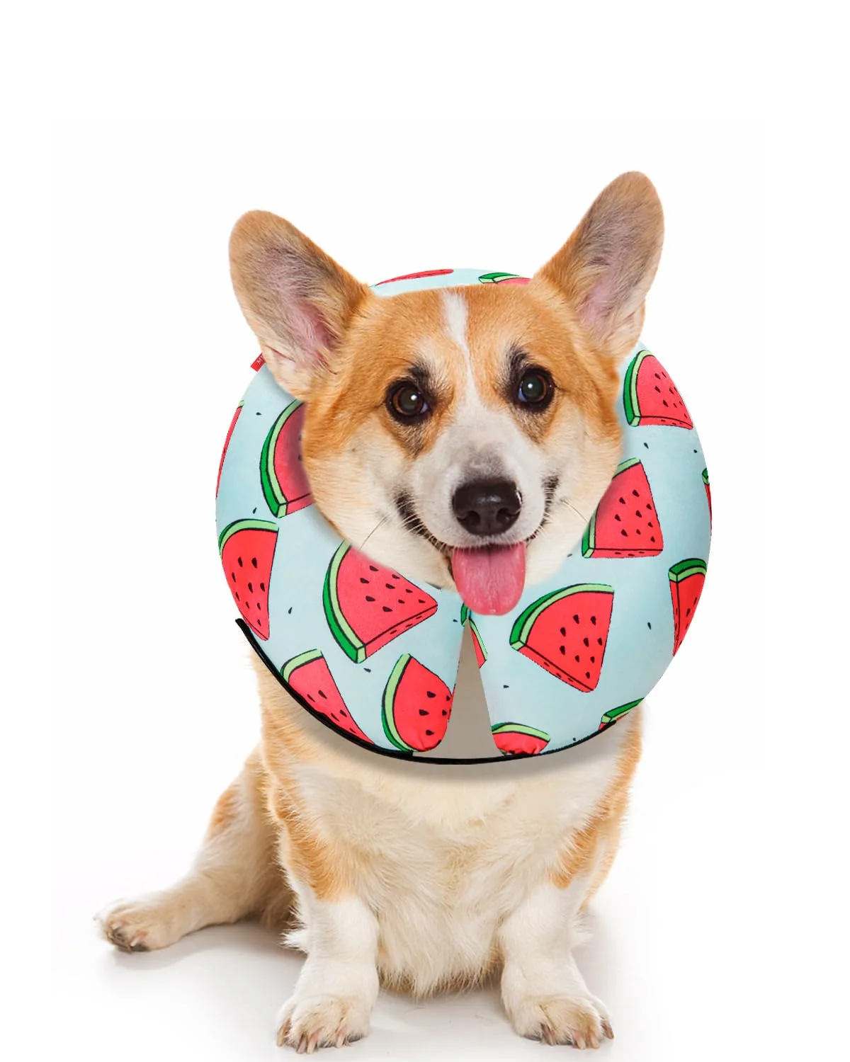 Elegant MIDOG Inflatable Donut Collar – Watermelon Size S Soft Recovery Cone for Dogs Pure
