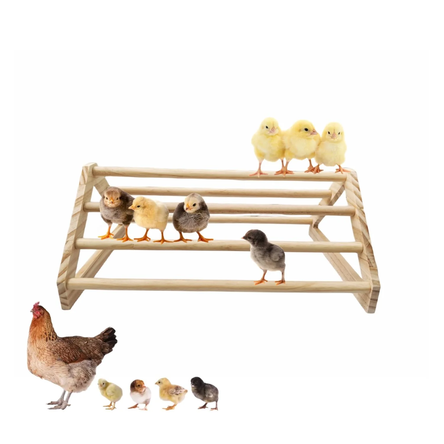 Practical gpgcgsgp Chick Perch – Strong Wooden Coop Toy Brooder for Baby Chicks Style 2 14.4 x 10.7 x 6.7 Easy-to-Use