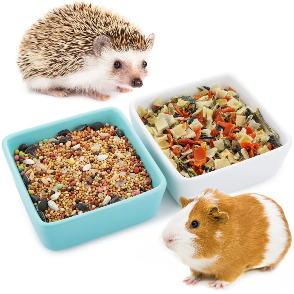 Premium DQITJ 2 Pack Pet Ceramic Bowl Water Dish for Small Animals – Blue White Pure