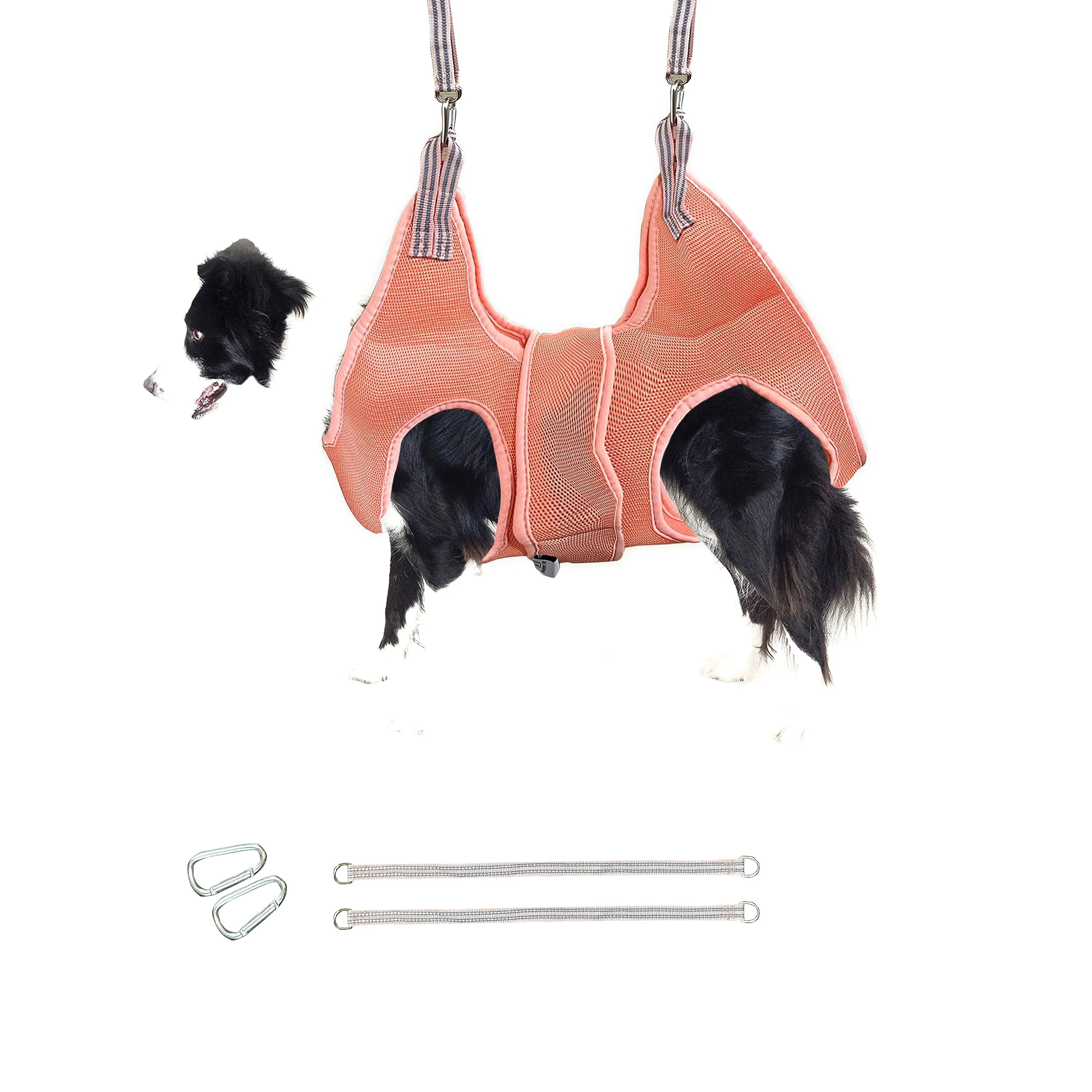 Next-Generation Potens’ Pet Dog Grooming Hammock with Safety Strap – Medium Dog Nail Trimming Fine