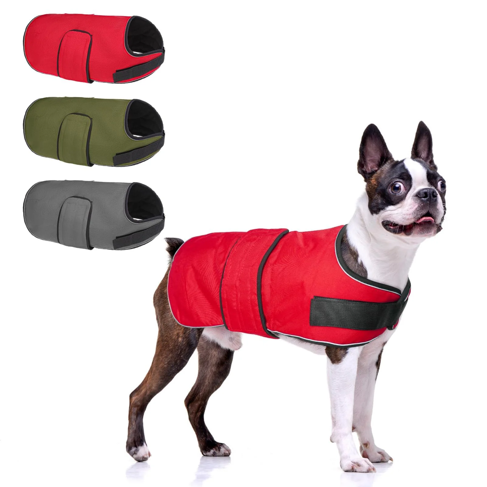 Versatile BEAUTYZOO Dog Winter Coat – Medium Waterproof Windproof Reflective Dependable