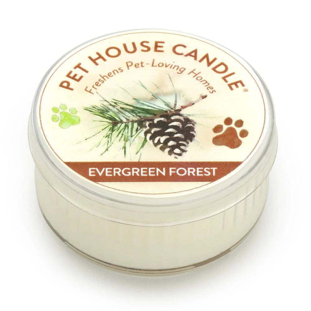 Practical Mini vela Evergreen Forest Top-Quality