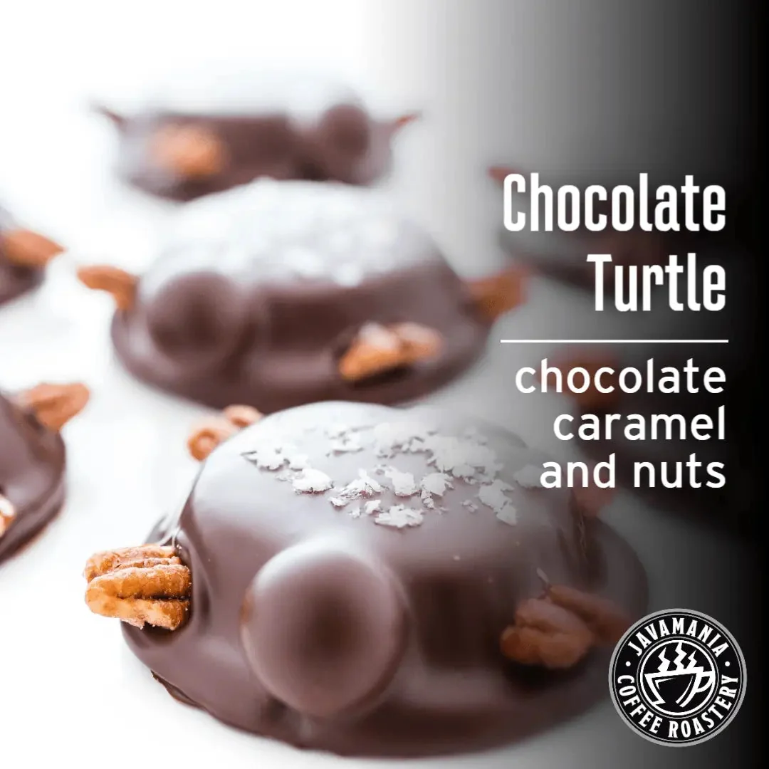 Contemporary Chocolate Turtle Reusable