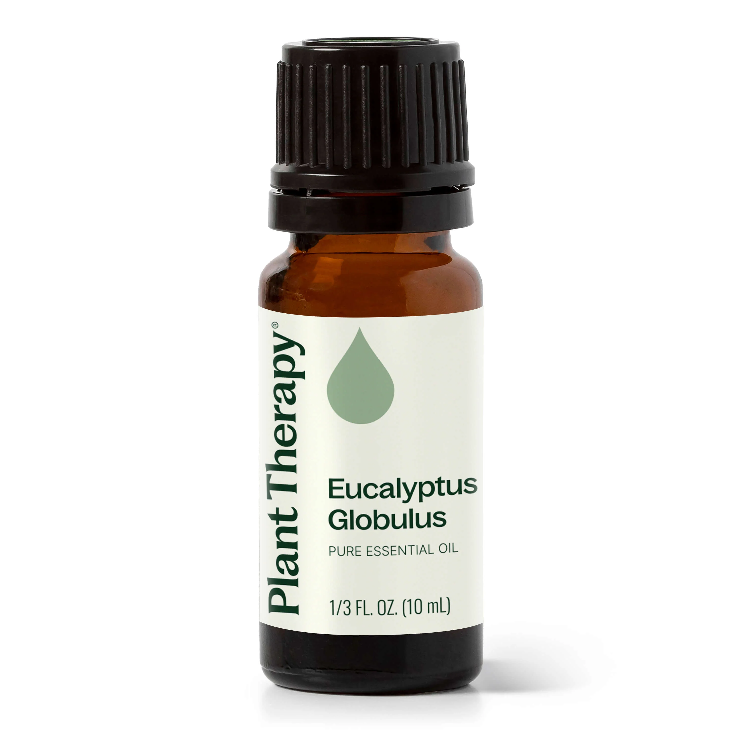 Proven Eucalyptus Globulus Essential Oil Elegant