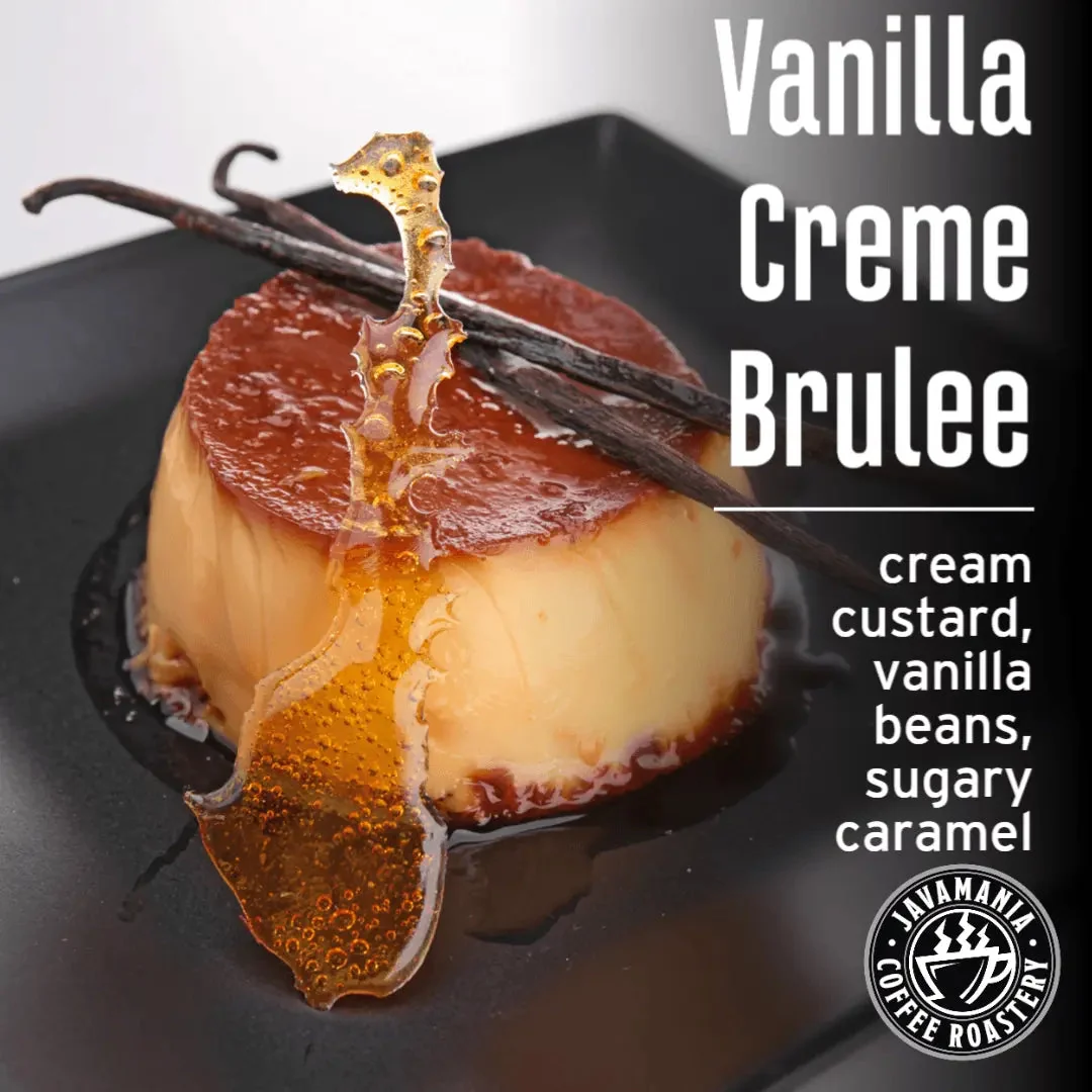 World-Class Vanilla Creme Brulee Modern