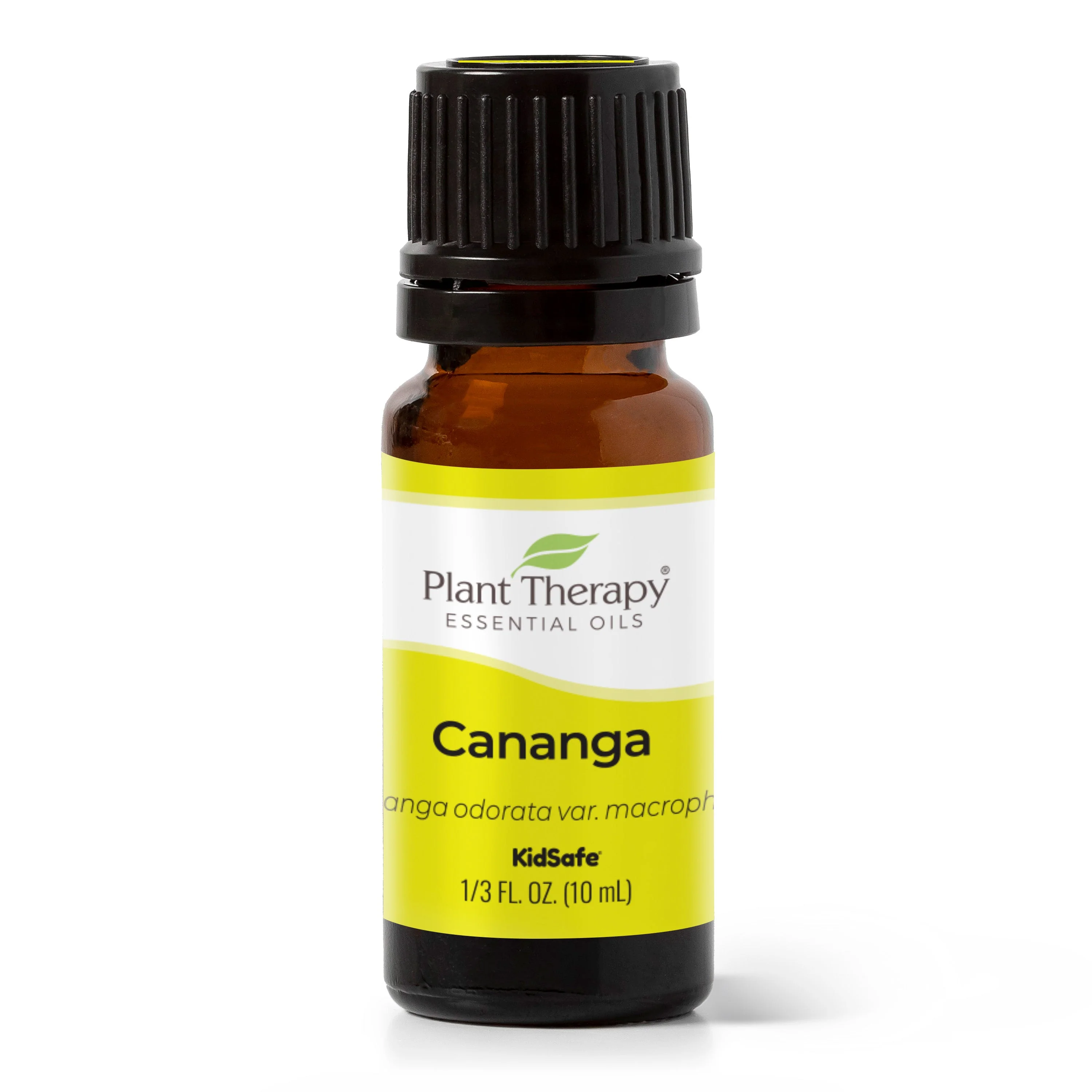 Healthy Cananga Essential Oil Carefully Designed