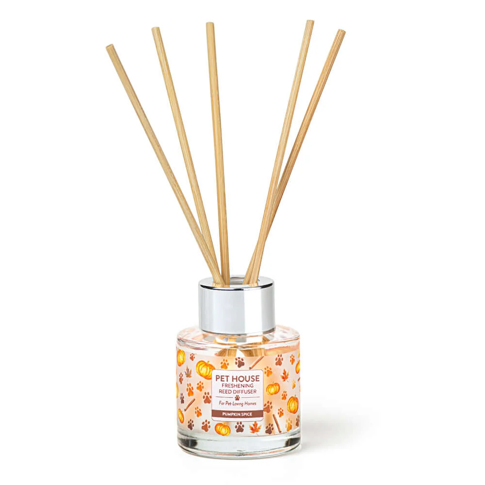 Crafted Pumpkin Spice Reed Diffuser Eco-Friendly